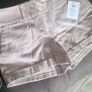 New! Maurices shorts